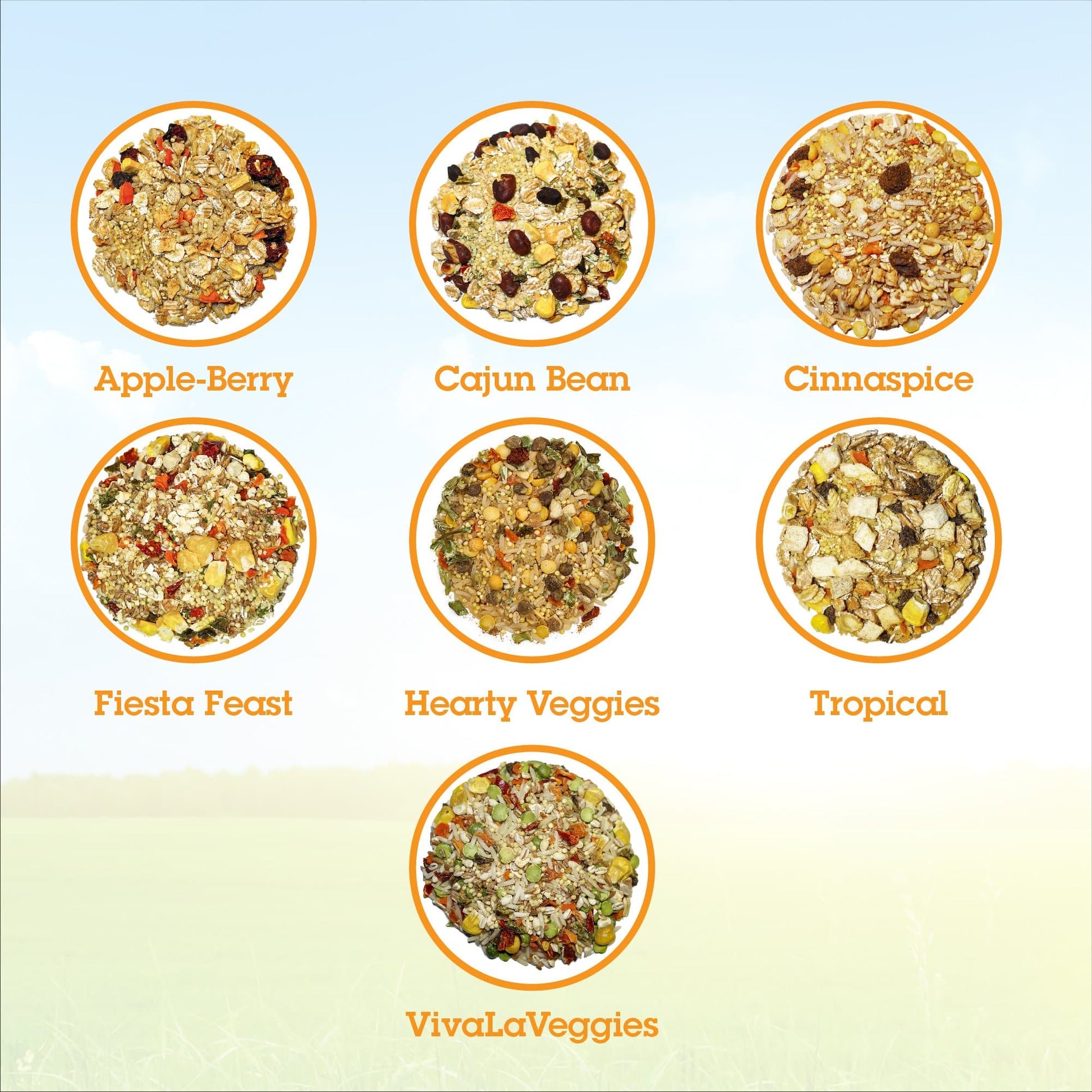 Premium bird food variety pack for parrots from The Zayaan